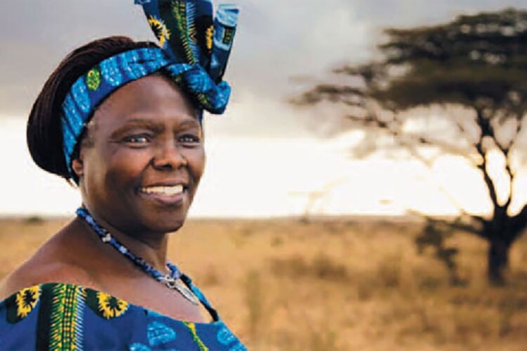 Wangari Maathai – Facts 